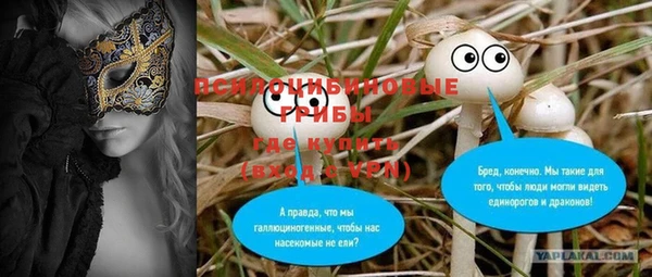 хмурый Нефтекумск