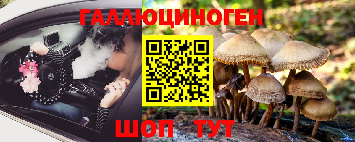 Новодвинск  Галлюциногенные грибы Psilocybe  Вход с VPN 
